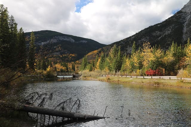 صورة من Mount Lorette Ponds: مشي حول البرك وانعكاسات الجبل، ٢ من ١٩