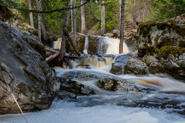 صورة من Mill Creek Regional Park: مشي مظلل إلى الشلال، ١ من ٣