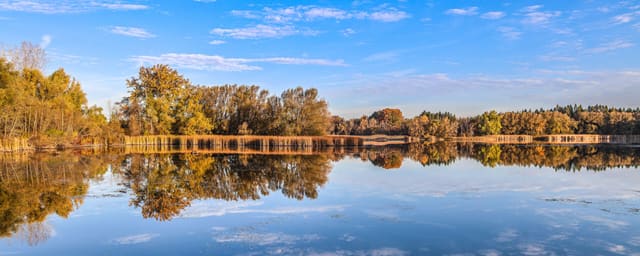 صورة من Valens Lake: مسارات غابة وممر فوق الأرض الرطبة، ٢ من ١٣