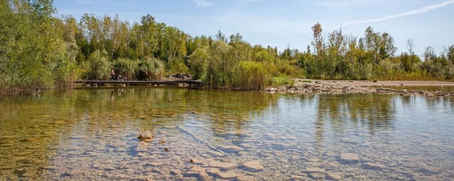 صورة من Fletcher Creek: مستنقع ومحجر أعيد إلى الطبيعة، ٢ من ٣