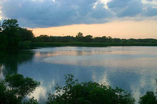صورة من Rotary Park | Ajax Waterfront: مشي على واجهة Ajax المائية، ١ من ١٠