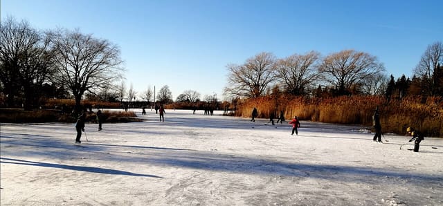 صورة من Parc Jarry: بركة وملاعب ومساحات للنزهة، ٦ من ١٥