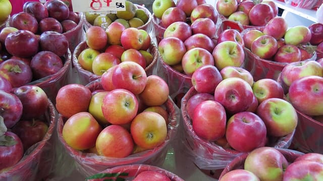صورة من Marché Jean-Talon: سوق المزارعين في La Petite-Italie، ٧ من ١٥