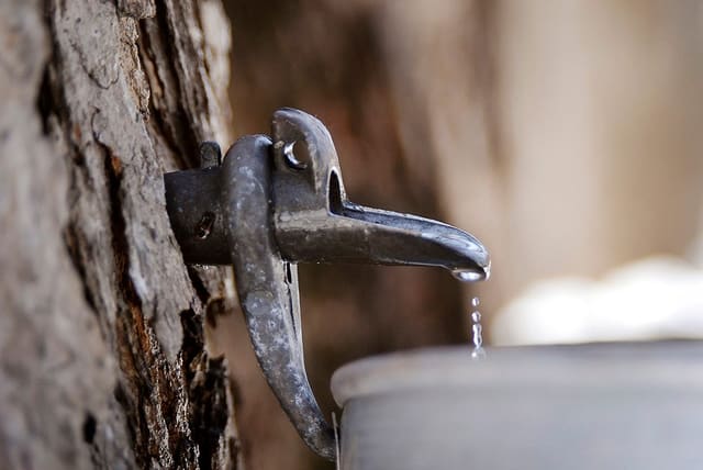 صورة من Sucrerie de la Montagne: كوخ سكر تقليدي على جبل Rigaud، ٦ من ١٨