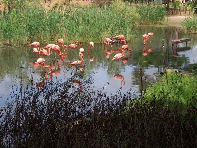 صورة من Zoo de Granby: حيوانات من أربع قارات وحديقة ألعاب، ٧ من ١٨