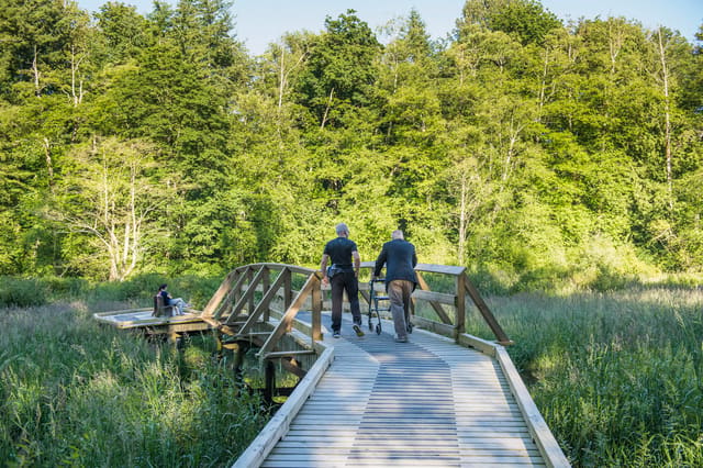 صورة من Campbell Valley Regional Park: مروج وغابة وممر Little River، ١ من ١