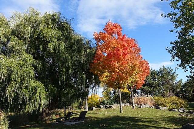 صورة من Parc Jarry: بركة وملاعب ومساحات للنزهة، ٨ من ١٥