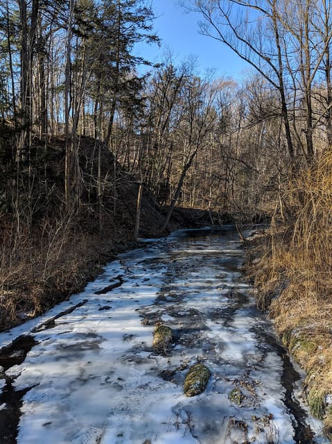 صورة من Wilket Creek Park: مسارات بين الغابات قرب Leslie، ٣ من ٣
