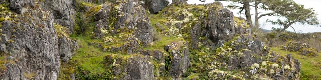 صورة من East Sooke Regional Park: ساحل صخري وغابة مطيرة، ١ من ١