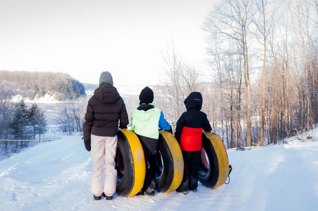 صورة من Extéria: مسارات معلّقة بين الأشجار في Drummondville، ٣ من ٦