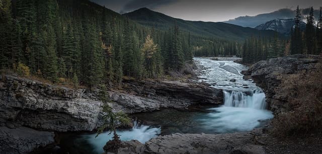 صورة من Sheep River Falls: شلال ونزهة في Sheep River، ١ من ٤