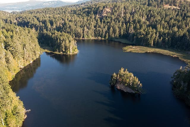 صورة من Matheson Lake: بحيرة ومسار غابي دائري، ٤ من ١١