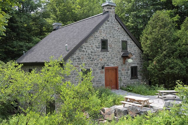 صورة من بستان Mont-Saint-Bruno: قطف التفاح داخل منتزه وطني، ٥ من ٢٢