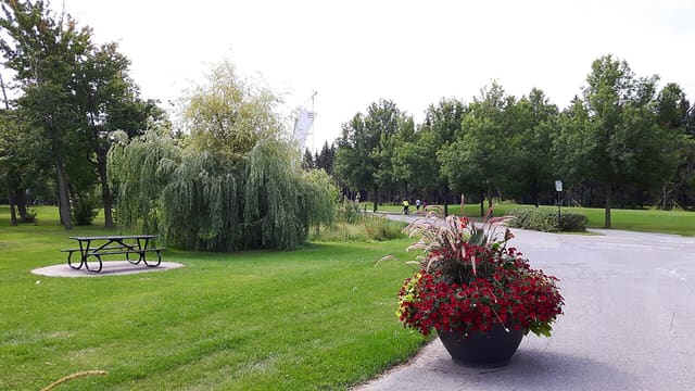 صورة من Parc Maisonneuve: مساحات خضراء ومسار للمشي، ٧ من ١٥