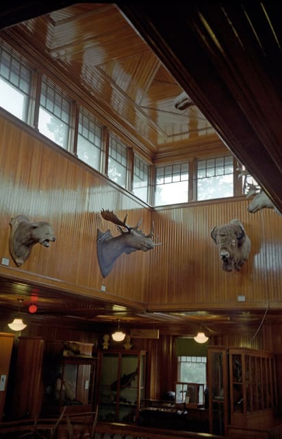 صورة من Banff Park Museum: تاريخ الطبيعة في مبنى خشبي، ٨ من ٩