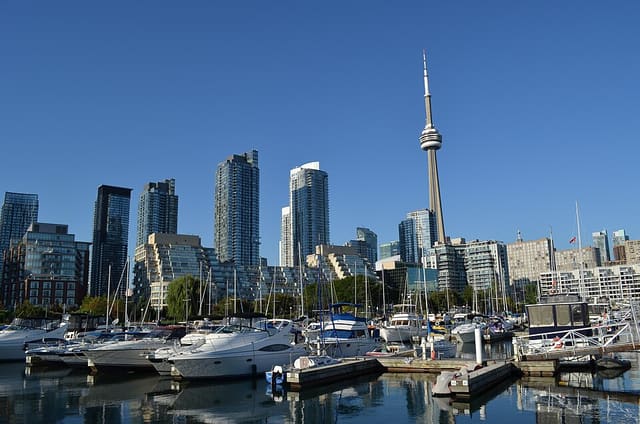 صورة من Toronto Music Garden: نزهة بين حدائق مستوحاة من Bach، ٢ من ٣