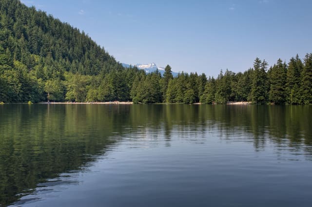 صورة من Alice Lake Park: مشي عند البحيرة بين الأشجار، ١ من ١