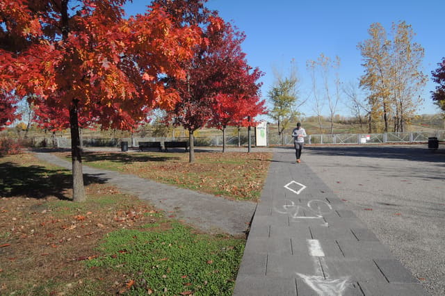 صورة من Parc Frédéric-Back: حديقة أُقيمت مكان مكب نفايات سابق، ٤ من ٢١