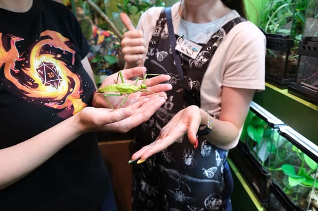 صورة من Victoria Bug Zoo: حشرات حية وجولات تعليمية، ٢ من ٢