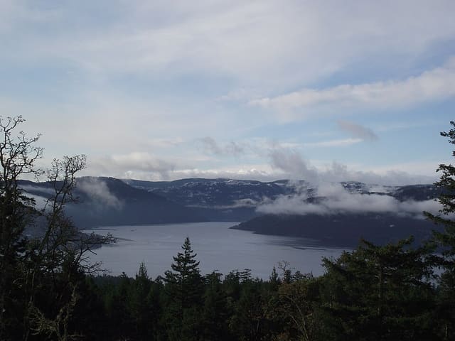 صورة من John Dean: أشجار قديمة ومسارات على Mount Newton، ٤ من ١٣