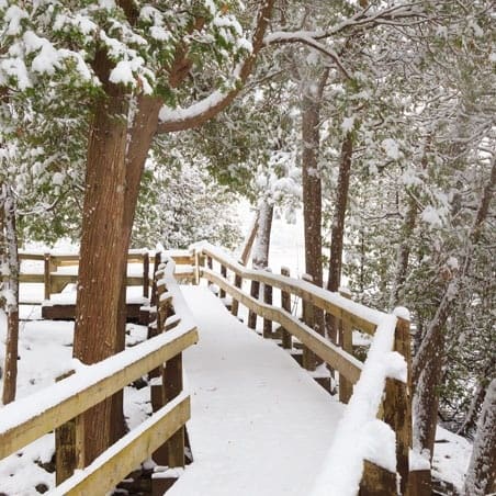 صورة من Crawford Lake: ممشى بحيرة وبيوت طويلة تاريخية، ٦ من ٧