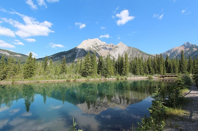 صورة من Mount Lorette Ponds: مشي حول البرك وانعكاسات الجبل، ٨ من ١٩