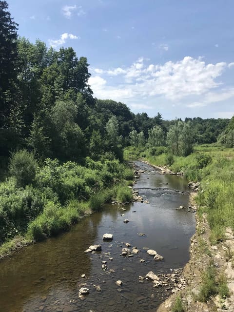 صورة من Crooks Hollow: آثار مطاحن ومسار على Spencer Creek، ٢ من ٦