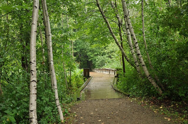 صورة من Pointe-aux-Prairies: غابات وأراضٍ رطبة، ٢ من ١٥