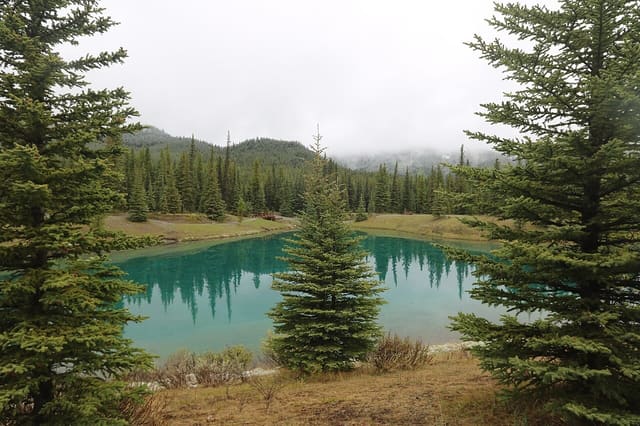 صورة من Forgetmenot Pond: بركة جبلية ونزهة قصيرة، ٨ من ١٦