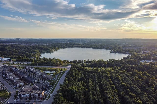 صورة من Lake Wilcox Park: ممشى وحدائق على البحيرة، ٣ من ٧