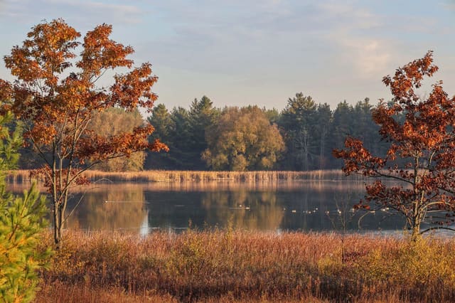 صورة من Valens Lake: مسارات غابة وممر فوق الأرض الرطبة، ٥ من ١٣
