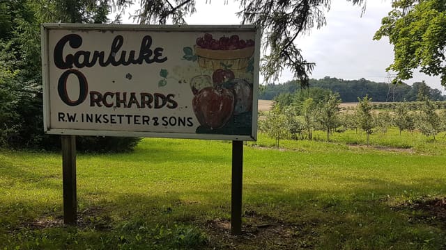 صورة من Carluke Orchards: قطف التفاح ومتاهة الذرة، ١ من ٦