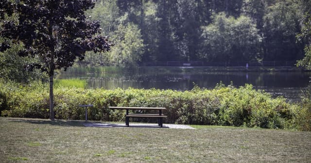صورة من Green Timbers Urban Forest Park: بحيرة وغابة وسط المدينة، ١ من ١