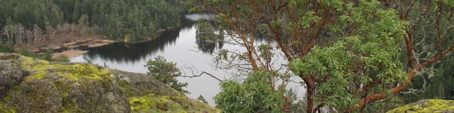 صورة من Matheson Lake: بحيرة ومسار غابي دائري، ١ من ١١
