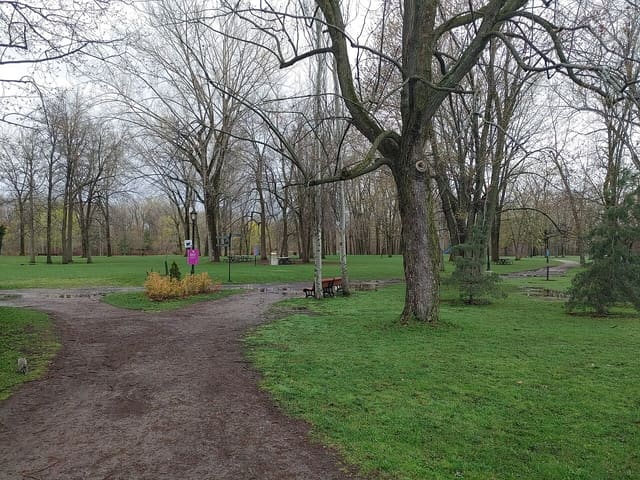 صورة من Parc Angrignon: غابة وبحيرة ونزهات، ٦ من ١٠