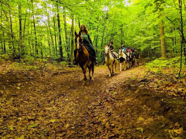 صورة من Ranch Liberté: ركوب الخيل بين الأشجار، ٥ من ١٤