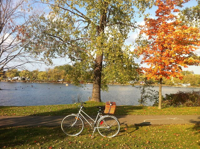 صورة من Parc René-Lévesque: منحوتات وإطلالات على الماء، ١ من ٢٥