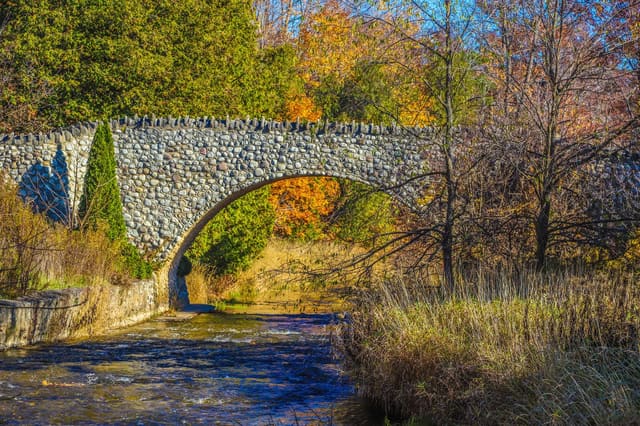 صورة من Webster Falls: شلال وجسر حجري في Spencer Gorge، ٧ من ٧