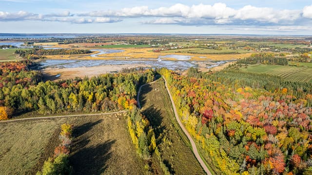صورة من Fullerton’s Creek Conservation Park: مسارات وإطلالة على المستنقع، ٣ من ٣