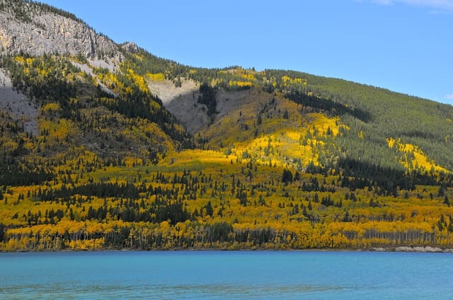 صورة من Barrier Lake Day Use: شاطئ بحيرة ومناظر جبال، ٧ من ١٦