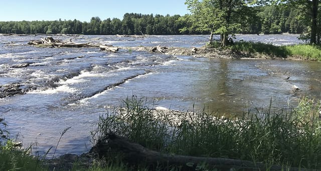 صورة من Extéria: مسارات معلّقة بين الأشجار في Drummondville، ٥ من ٦