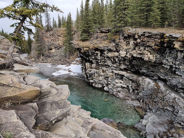 صورة من Sheep River Falls: شلال ونزهة في Sheep River، ٢ من ٤