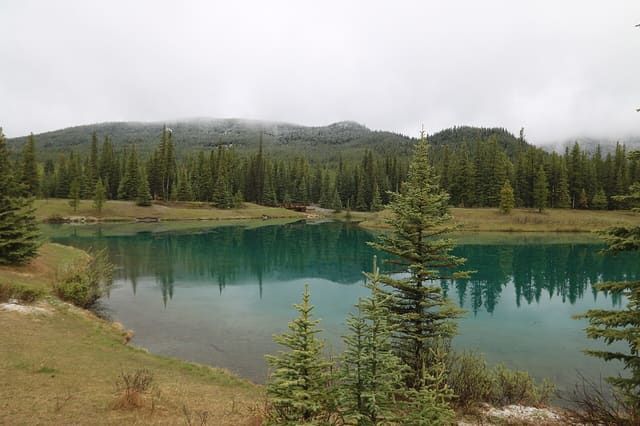 صورة من Forgetmenot Pond: بركة جبلية ونزهة قصيرة، ٣ من ١٦