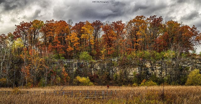 صورة من Kerncliff: محجر قديم ومسارات على جرف Niagara، ١ من ٤