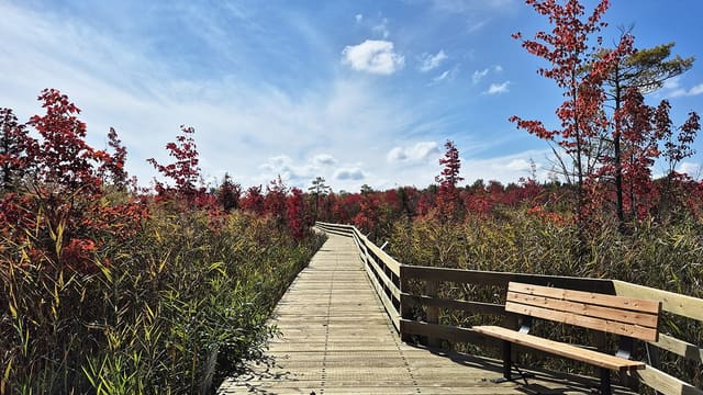 صورة من Marais de la Rivière-aux-Cerises: ممرات فوق المستنقع، ٨ من ١٩