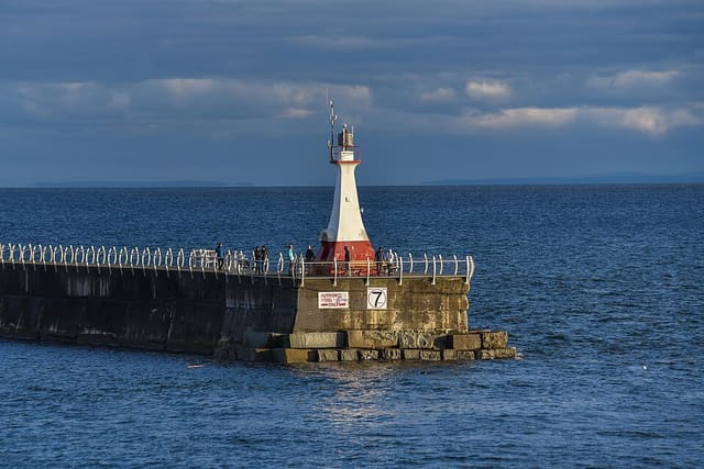 صورة من Ogden Point Breakwater: مشي إلى المنارة وفنون ساحلية، ٣ من ١٩