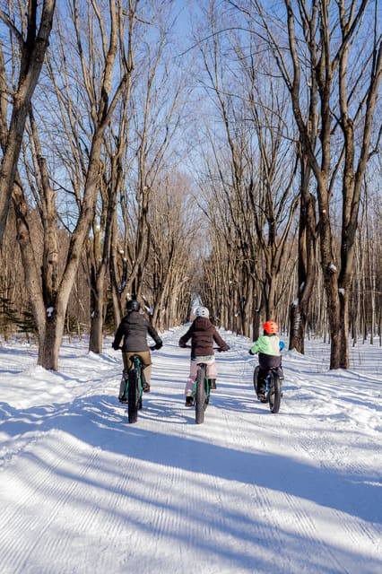 صورة من Extéria: مسارات معلّقة بين الأشجار في Drummondville، ٤ من ٦