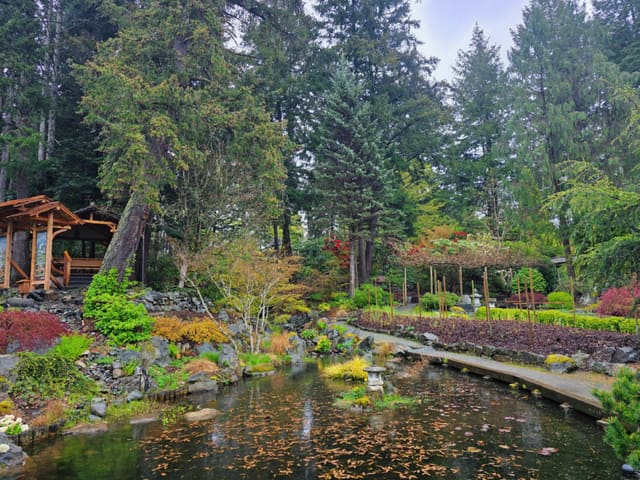 صورة من The Gardens at HCP: حدائق يابانية وحديقة للأطفال، ١ من ١