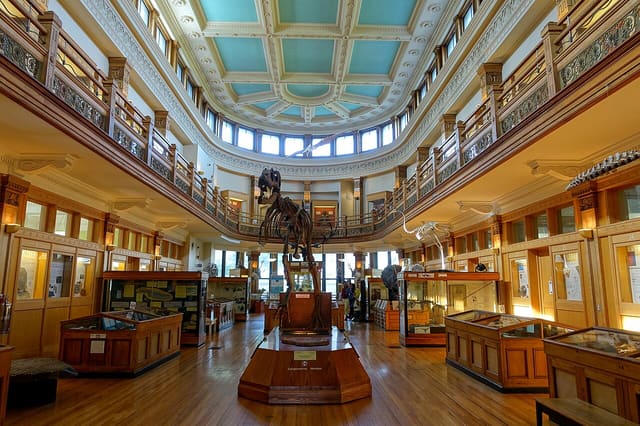 صورة من Musée Redpath: التاريخ الطبيعي في حرم McGill، ٢ من ١٥