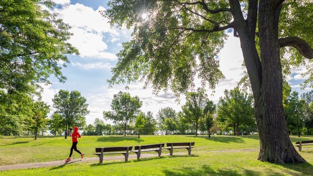 صورة من Promenade-Bellerive: ممشى على نهر سان لوران، ٤ من ١٨